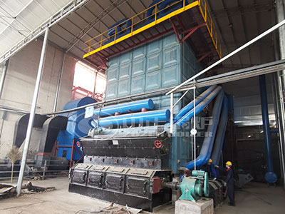 ZOZEN 40 ton biomass fired steam boiler in paper industry