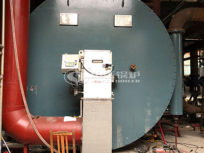 10 Million Kcal Gas-fired Thermal Oil Heater for Dyeing Factory