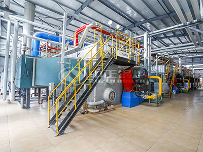 ZOZEN Boiler provides the boiler to the production base.jpg