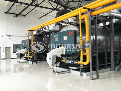 Numerous enterprises give preference to ZOZEN steam boilers