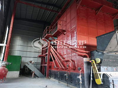 ZOZEN SZL biomass-fired steam boiler operating at customer plant