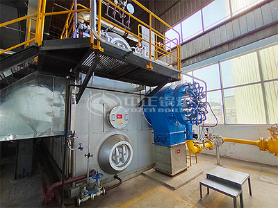 water tube gas-fired boiler in the project site