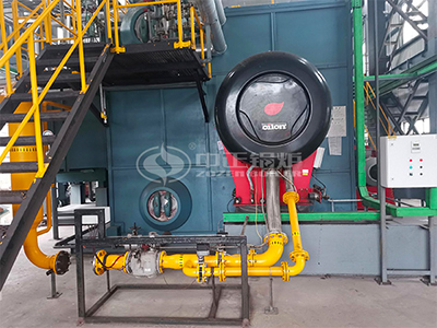 ZOZEN gas-fired steam boiler in customer's production base