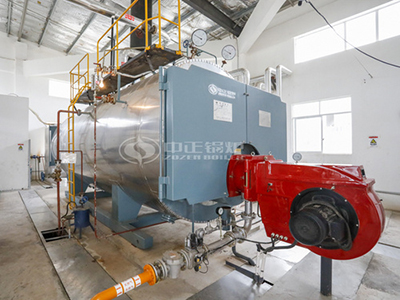 8 ton gas steam boiler site