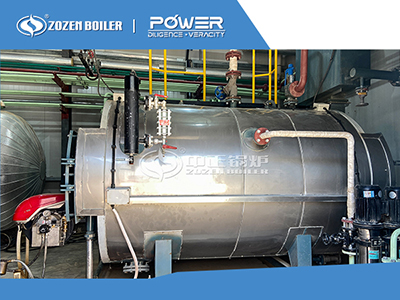 ZOZEN oil-fired steam boiler in the power plant in Iraq