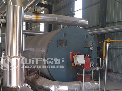 gas thermal oil heater
