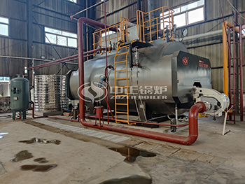 6 Ton Gas Fired Steam Boiler for Pharmaceutical Factory