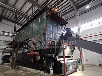 20 Ton Palm Shell Biomass Boiler for Thailand Tire Plant