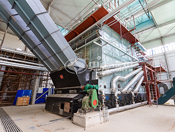 25 Tons Biomass Straw Boiler for Agricultural Waste Treatment