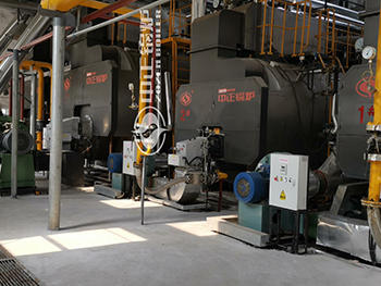 20 Ton 12.5 Bar Oil Fired Steam Boiler in Central Heating