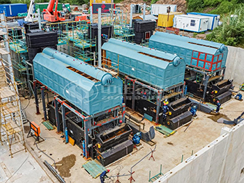 25 Ton Coal Fired Steam Boiler Used in South Africa Dairy Company