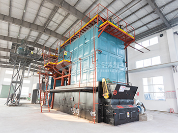 15 Ton Biomass Pellet Steam Boiler for Food Production