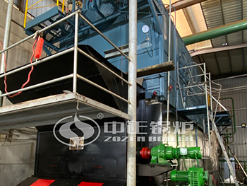 15 ton biomass fired steam boiler in textile industry