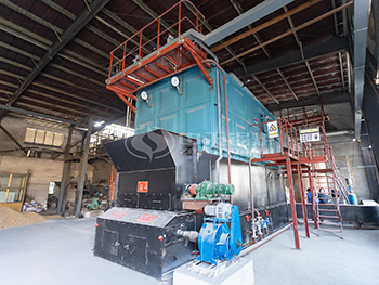 6 Ton 1.25 Mpa Biomass Boiler for Textile Plant