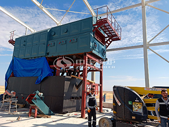 15 ton biomass fired boiler in Turkey