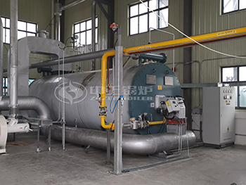 3 Million Kcal Gas Fired Hot Oil Heater for Tape Production

