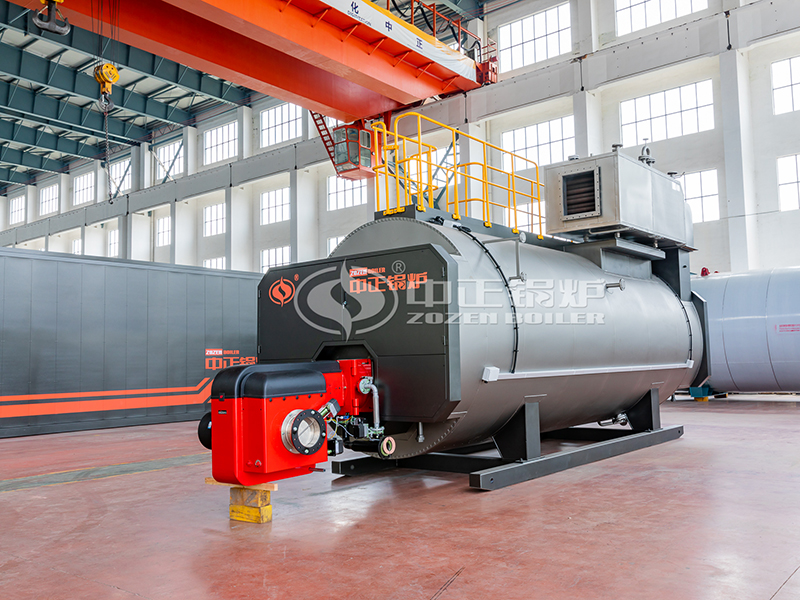 WNS Gas(oil) fired steam boiler