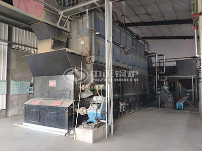 ZOZEN 15 tph biomass fired steam boiler