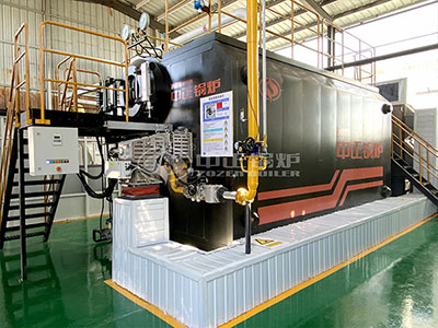 ZOZEN 4 ton capacity biogas boiler in a paper mill