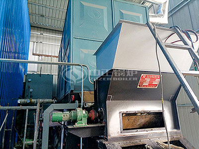 The biomass thermal oil heater in commissioning