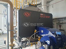 3 ton oil gas boiler in edible oil industry