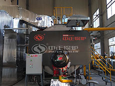 15 ton oil gas boiler in textile industry