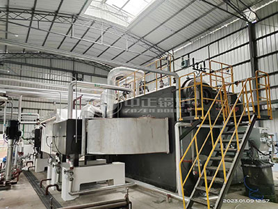 20 ton oil gas fired steam boiler