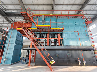 ZOZEN SZL series wood fired boiler in food factory