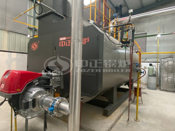 ZOZEN Methane Gas Boiler for Sustainable Solution海名斯安吉粘土WNS6 (5)_副本.jpg