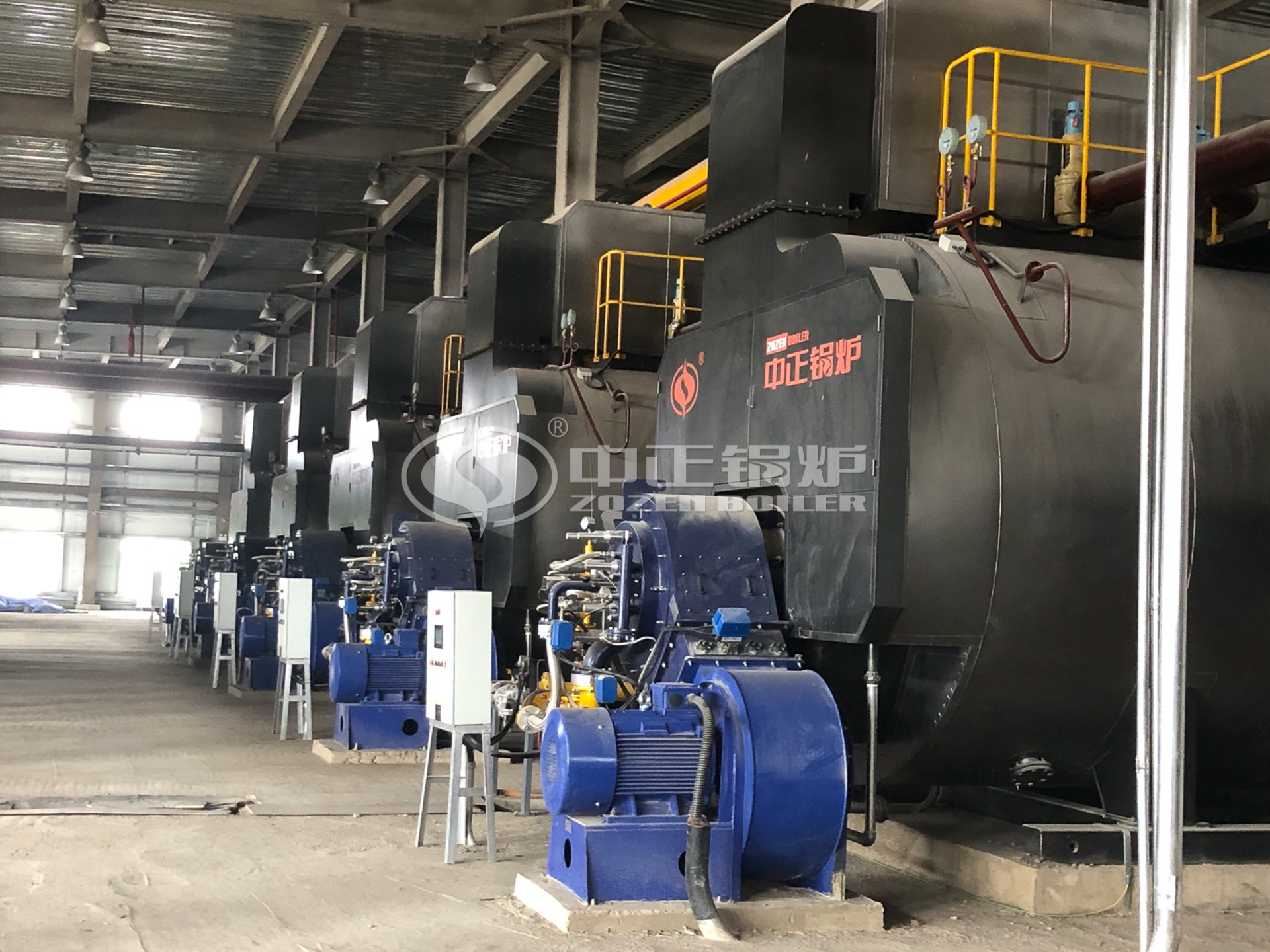 WNS Gas Condensing Hot Water Boiler