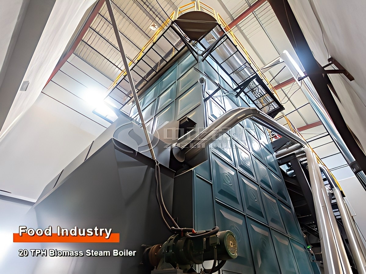 DZL series biomass boiler(1).jpg