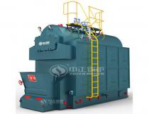 DZL Coal Fired Chain Grate Steam Boiler