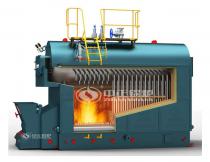 DZL Coal Fired Packaged Steam Boiler