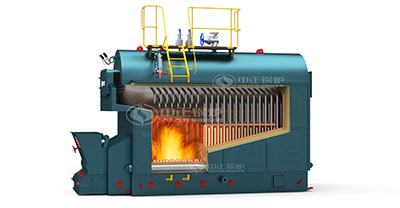 dzl-coal-fired-boiler.jpg