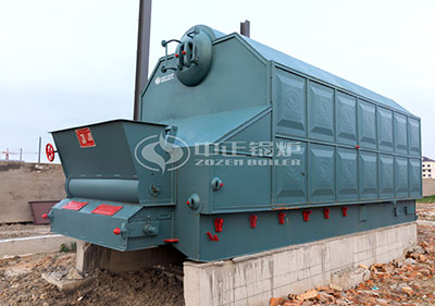 6 ton chain grate boiler