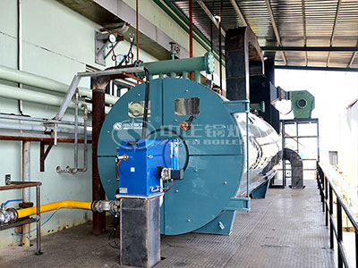 thermal oil boiler for textile industry