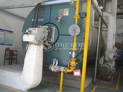 gas-fired thermail oil boiler