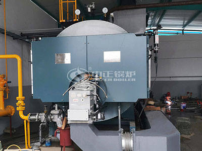 WNS oil-fired boiler