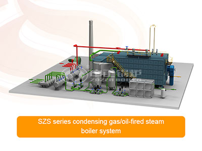 SZS series condensing gas-fired boiler system