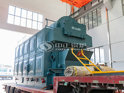 DZL-series-biomass-fired-steam-boiler.jpg