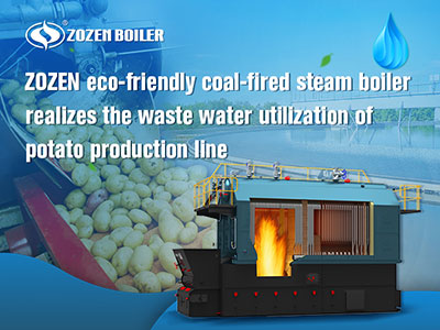 eco friendly coal boiler for potato industry