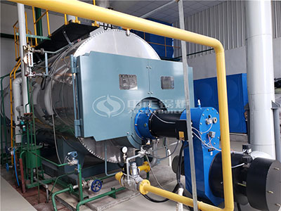 ZOZEN gas-fired boiler